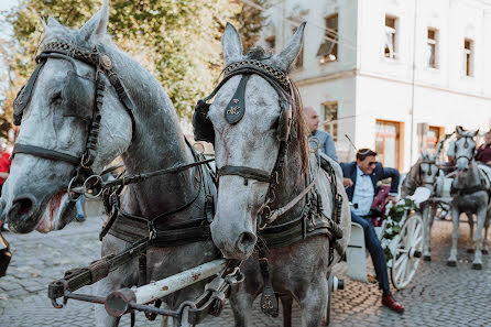 Fotografo di matrimoni Svetozar Gardinovački (gardinovacki). Foto del 20 maggio 2020