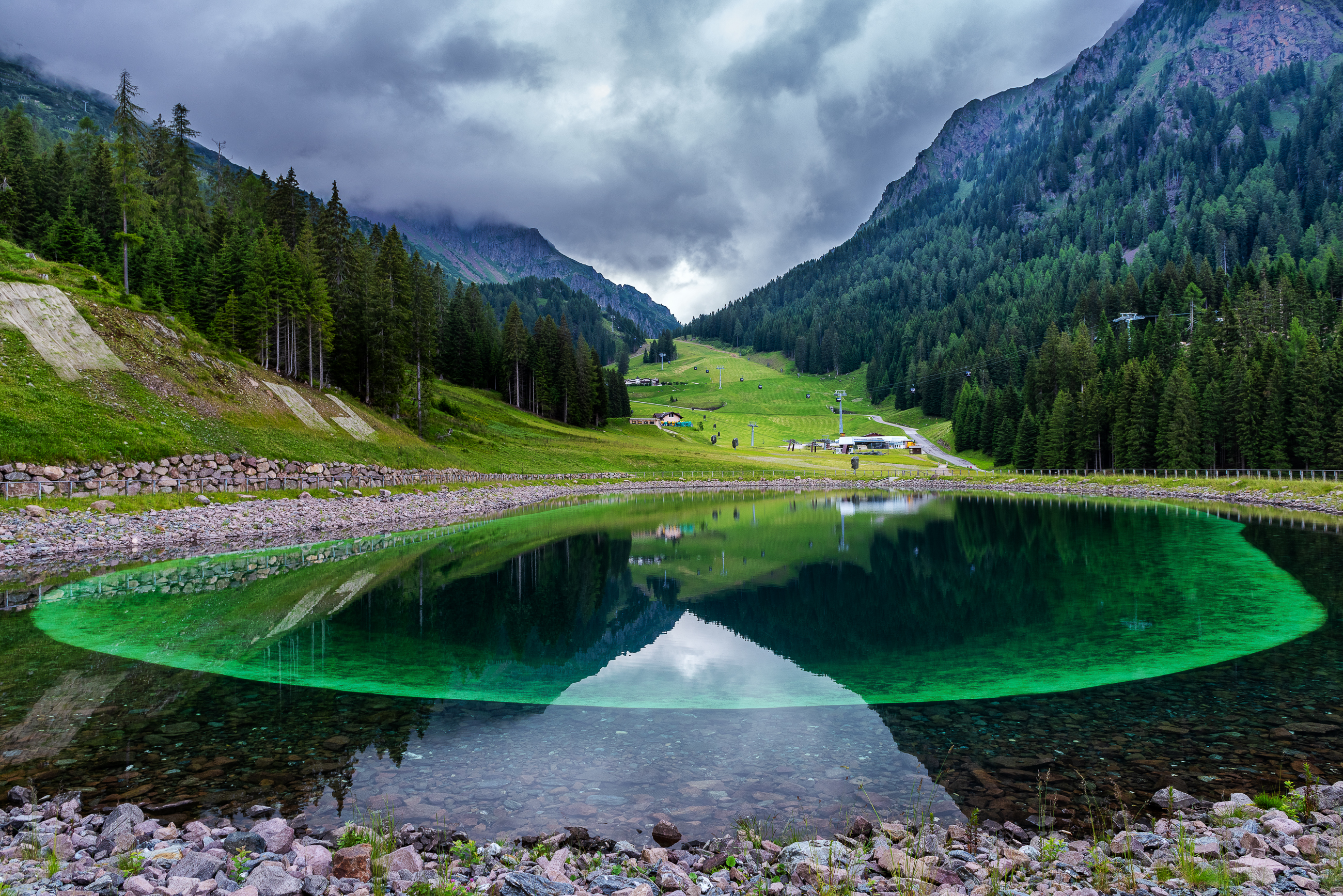 sfumature green di Fiore Doncovio