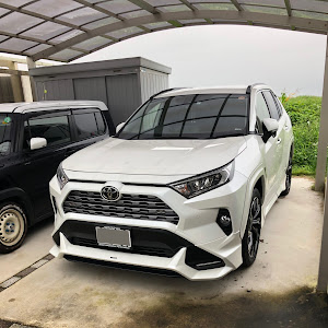 RAV4 MXAA54