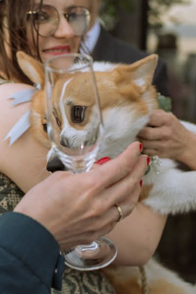 Wedding photographer Alina Postoronka (alinapostoronka). Photo of 17 July 2023