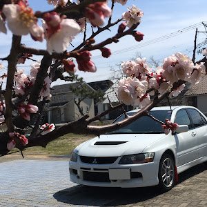 ランサーエボリューション Ⅸ