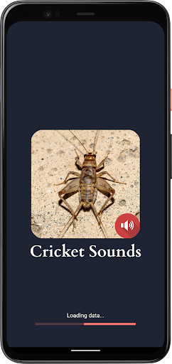 Screenshot Cricket Sounds