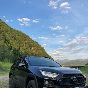 RAV4 MXAA54