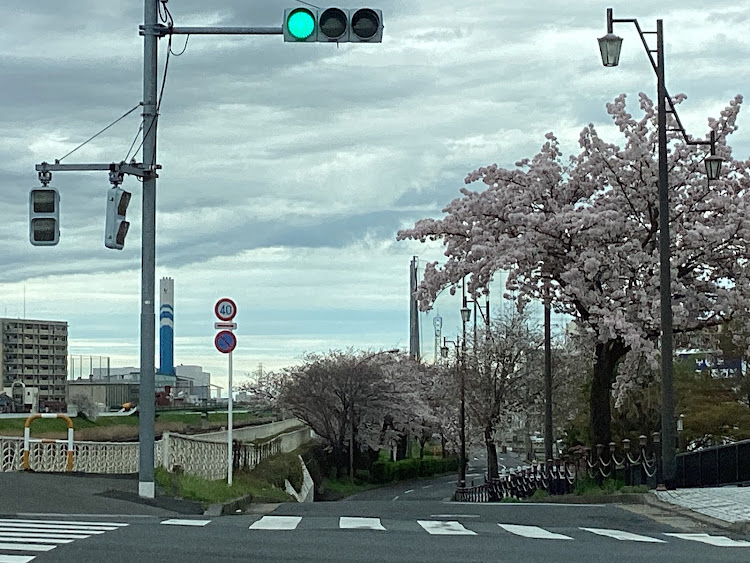 コペンの己で楽しさを生み出す事こそ幸せなり！・たわい無い平凡な暮らしにこそ幸せ有り！最高だね！・たわい無い事柄に感謝！最高だね！・春爛漫！季節を楽しみましょう！最高だね！・日本の四季を楽しみましょう！春爛漫！最高だね！に関するカスタム事例の投稿画像153枚目
