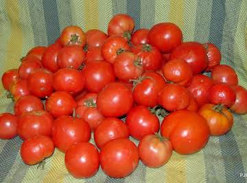 Saving Green Tomatoes For the Holidays