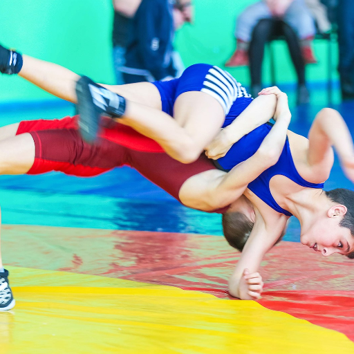 Игры спорт борьба. Игры про борьбу греко-римскую. Греко-Римская борьба Набережные Челны Дельфин.