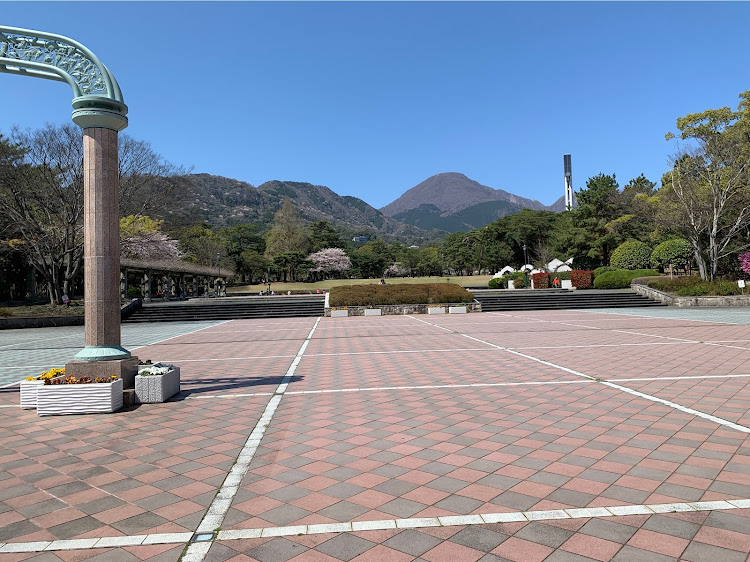 コウさんが投稿した別府公園に関するカスタム事例の投稿画像5枚目