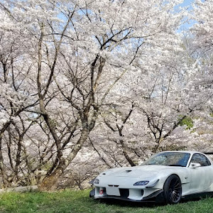 RX-7