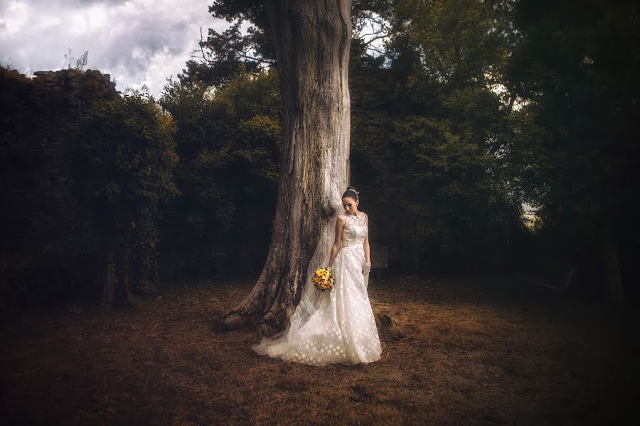 Fotógrafo de casamento Barbara Fabris (barbarafabris). Foto de 29 de julho 2016