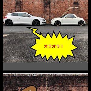 シロッコ