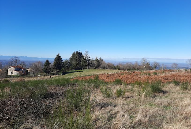  Vente Terrain à bâtir - 7 637m² à Thiers (63300) 