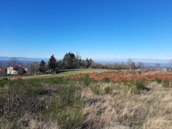 terrain à Thiers (63)