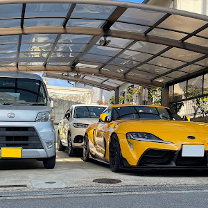 スープラ DB42