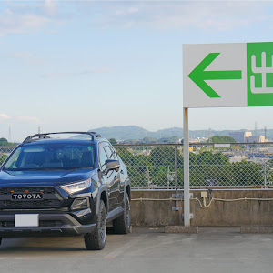 RAV4 MXAA54
