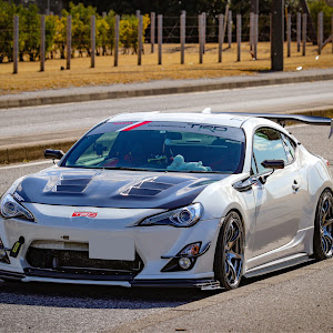 86 ZN6