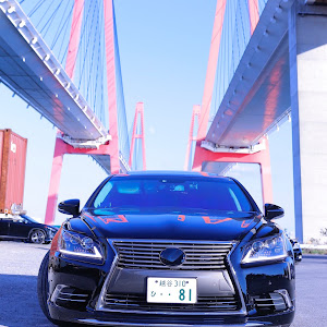 LS UVF45