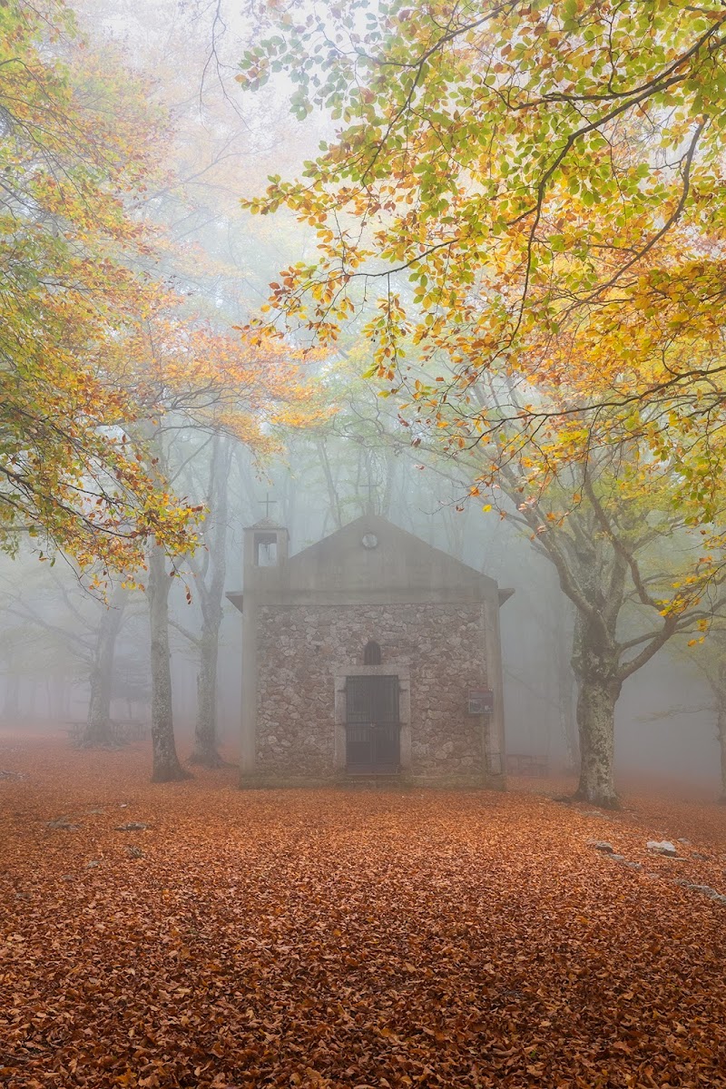 Cappella nel bosco di lurick