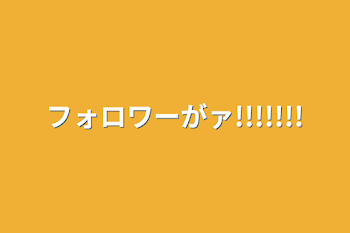 フォロワーがァ!!!!!!!