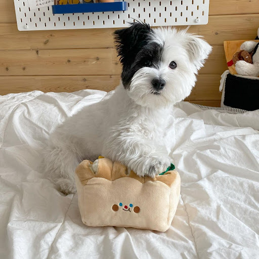 Title 15, Bread Toast Sniffing Tibetan Food Toys for Dogs...