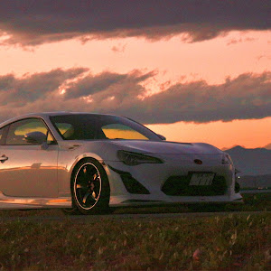 86 ZN6