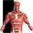 Visual Anatomy 2 v3.2 (MOD, Paid) APK