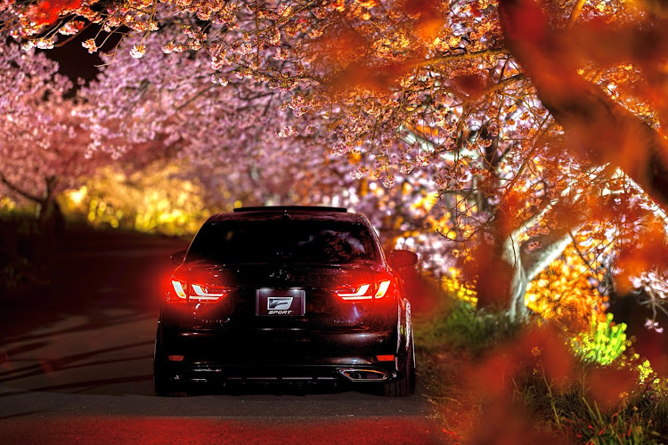GSのさくら・サクラ・桜・河津桜・早咲きに関するカスタム事例の投稿画像4枚目