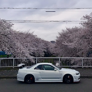 スカイライン GT-R BNR34