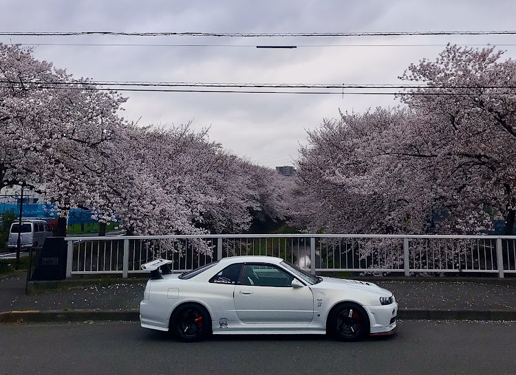 スカイライン GT-Rの桜と愛車・コロナウイルスに負けるなに関するカスタム事例の投稿画像1枚目