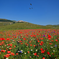 Castelluccio di Norcia e la sua piana di 