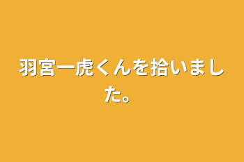 羽宮一虎くんを拾いました。