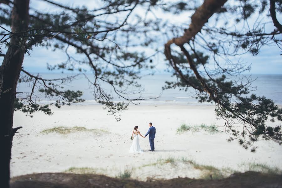 Fotógrafo de casamento Vyacheslav Luchnenkov (lucnenkov). Foto de 2 de agosto 2016