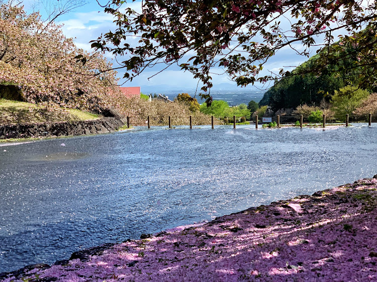 レガシィ アウトバックのドライブ・ダスキン・桜吹雪・ミーチング❓に関するカスタム事例の投稿画像5枚目