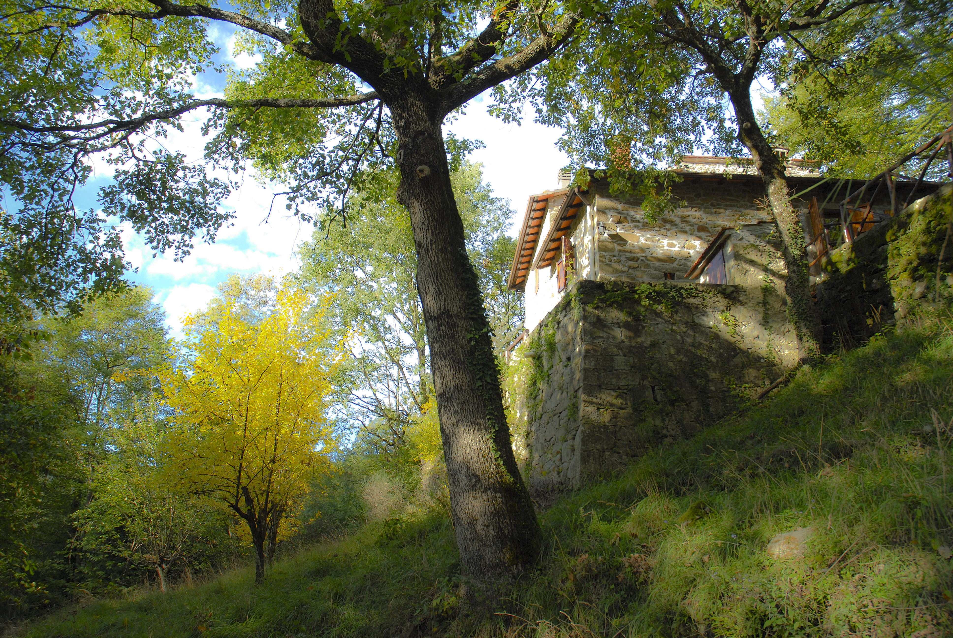 Autunno incipiente, nella mia casetta nel bosco di alessandro54