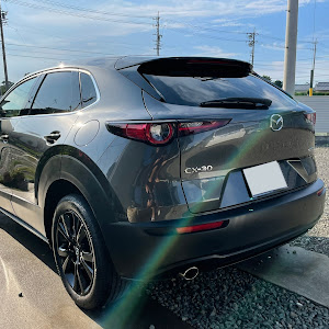 CX-30 DM8P