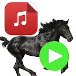 Cover Image of Télécharger Old Town Road - Lil Nas X - MUSIC OFFLINE 1.0.0 APK