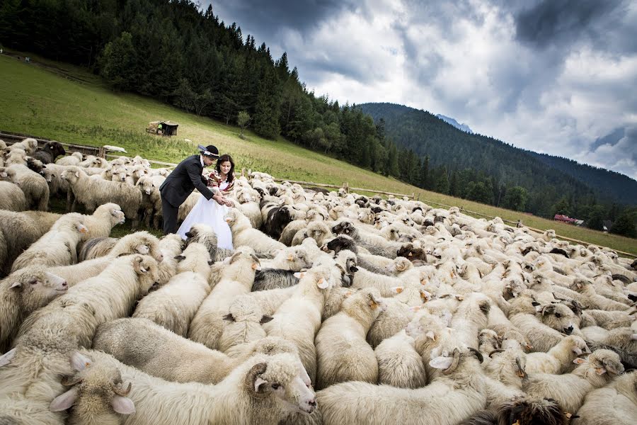 Photographe de mariage Zaradny Zaradnyphotography (zaradny). Photo du 28 novembre 2016