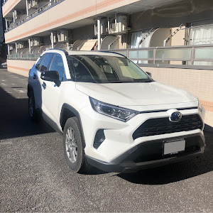 RAV4 MXAA54