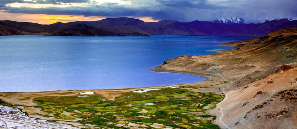 tso-kar-lake-camping-in-leh-ladakh_image
