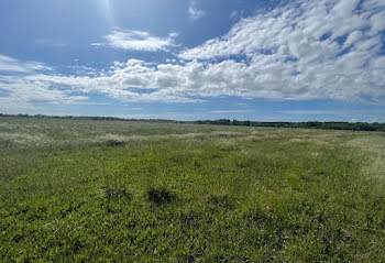 terrain à Meschers-sur-Gironde (17)