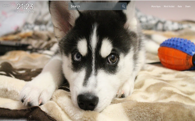 Husky Wallpapers NewTab Theme