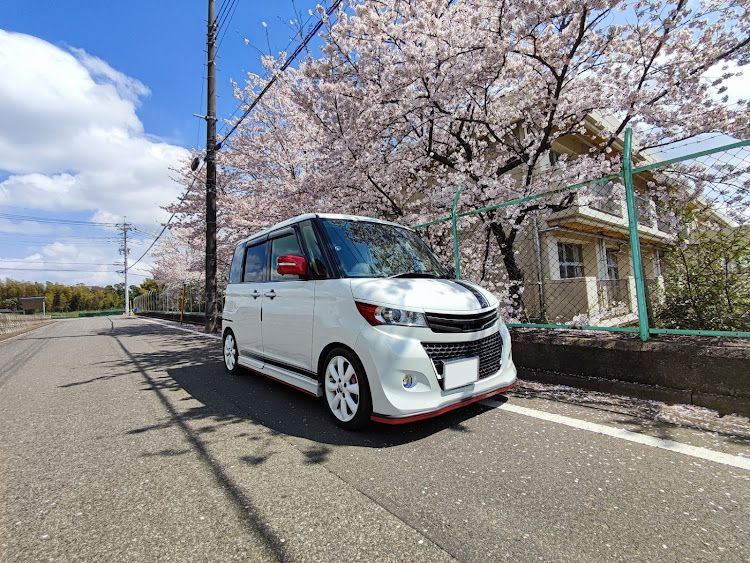 パレットSWの桜とコラボ・近場の桜に関するカスタム事例の投稿画像4枚目