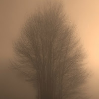 La prima nebbia di 