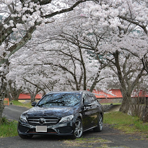 Cクラス ステーションワゴン S205