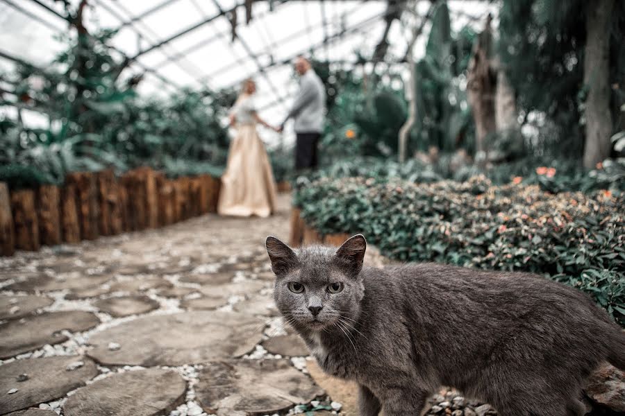 Fotógrafo de casamento Vladimir Shpakov (vovikan). Foto de 17 de dezembro 2019