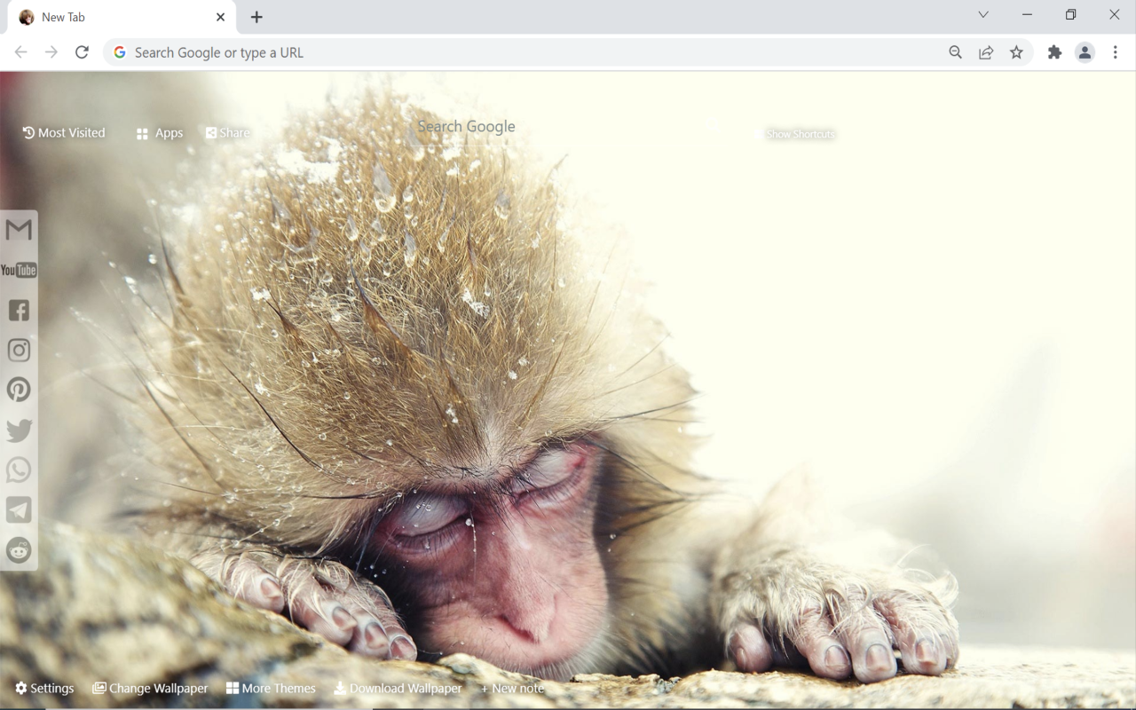 Monkey Wallpaper HD New Tab Preview image 3