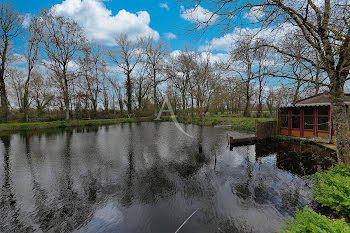 maison à Montaigu-Vendée (85)