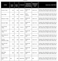 SST Street Style Tandoor menu 1