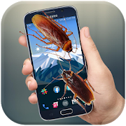 Cockroach Run On Mobile Screen - Scary Joke  Icon