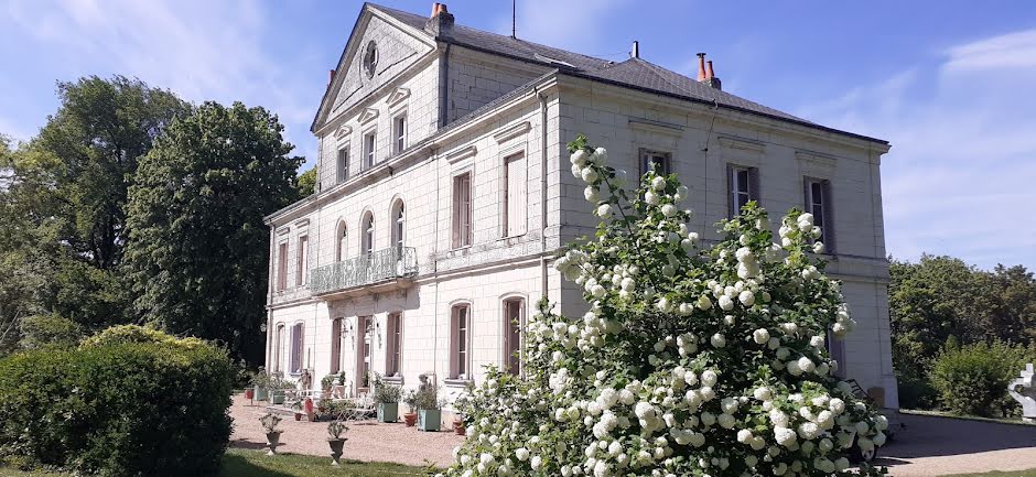 Vente château 20 pièces 700 m² à L'Ile-Bouchard (37220), 850 000 €