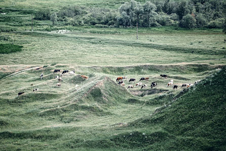 Fotógrafo de bodas Lena Valena (valena). Foto del 18 de julio 2017